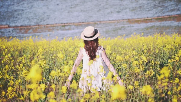 「ヒーリングで何かが外れたみたいです」皆様からのご感想