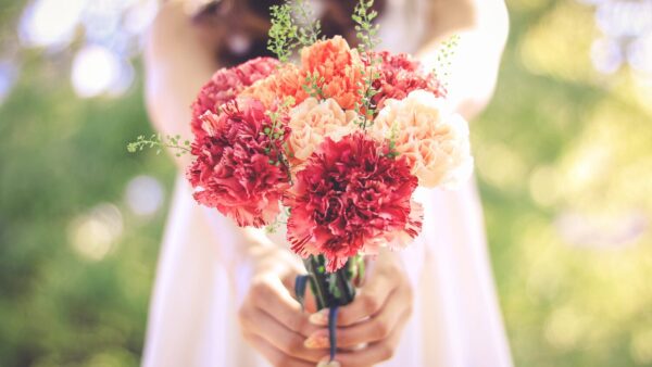 個人セッション