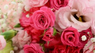 お花のオーラを見る方法