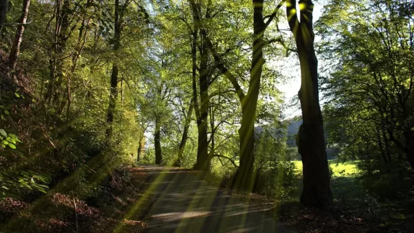 この講座は人生を左右する重要な分岐点だった（皆様のご感想）